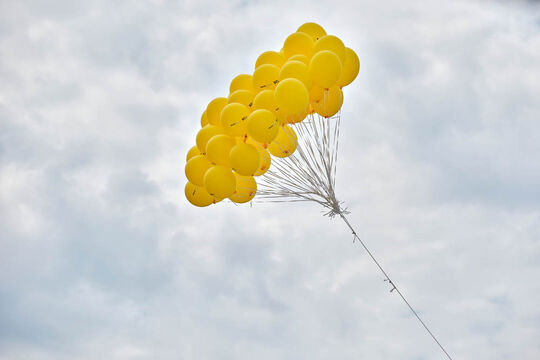 3 - 20260815_003